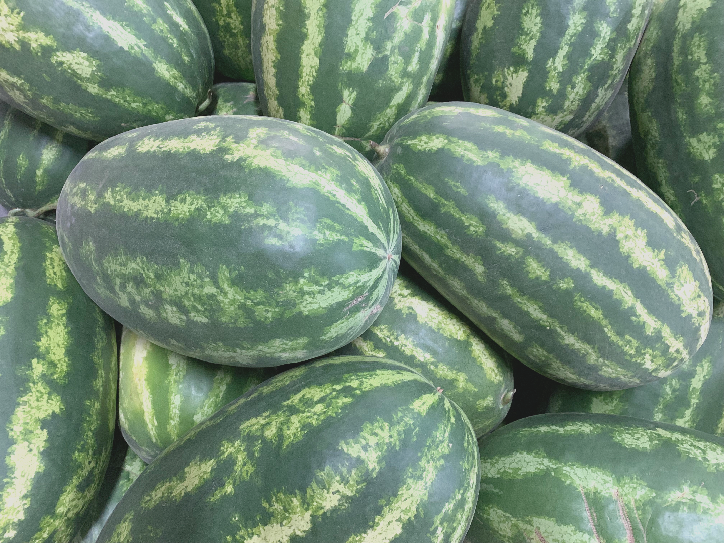 Seeded Watermelon