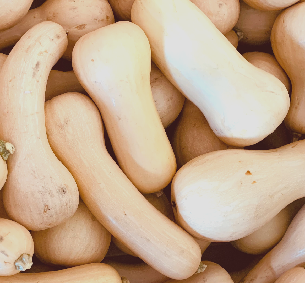 Butternut Squash