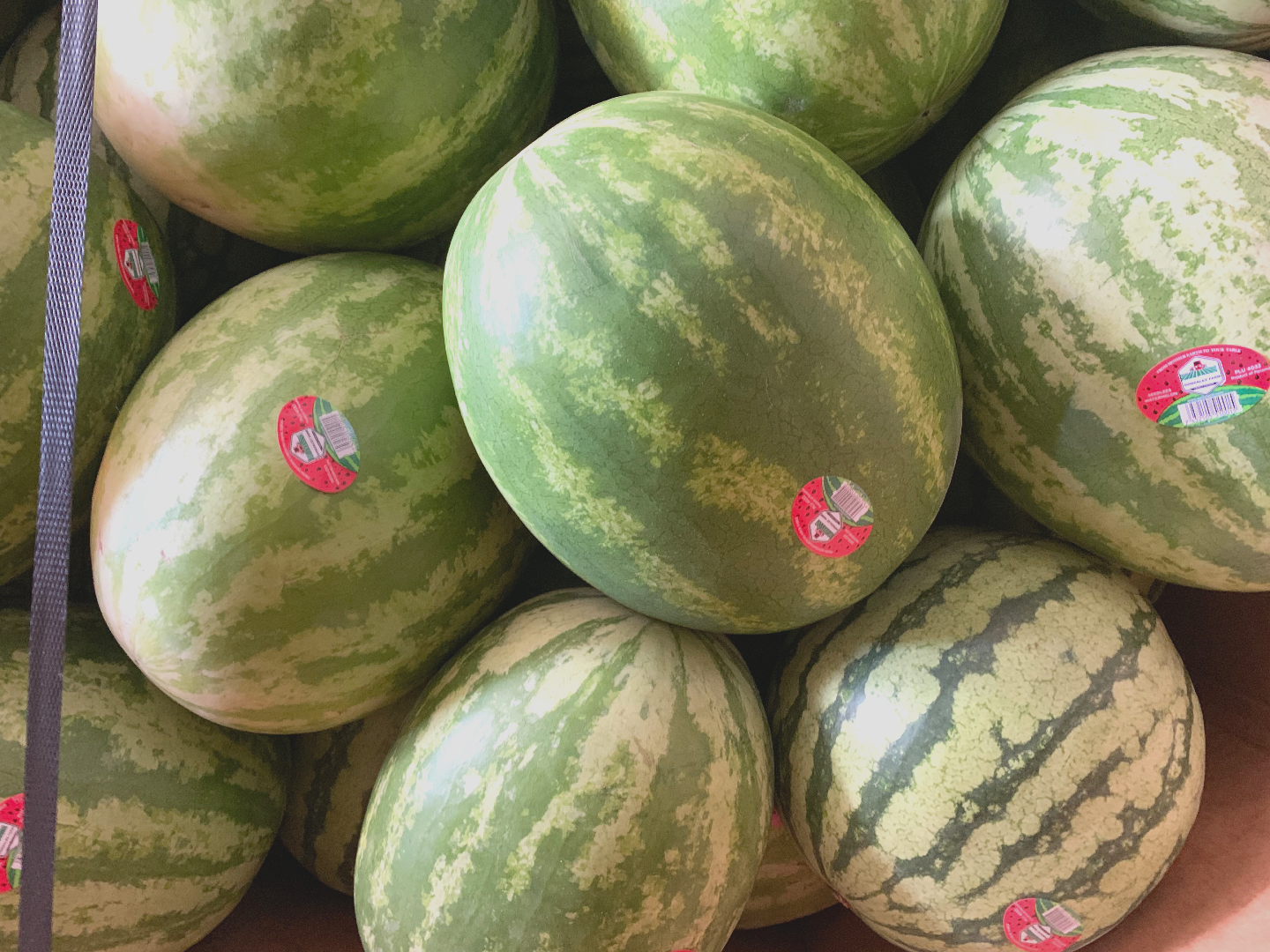 Seedless Watermelon