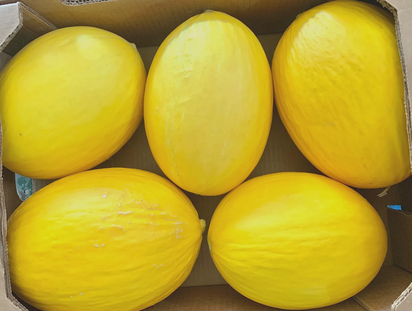 Yellow Melon