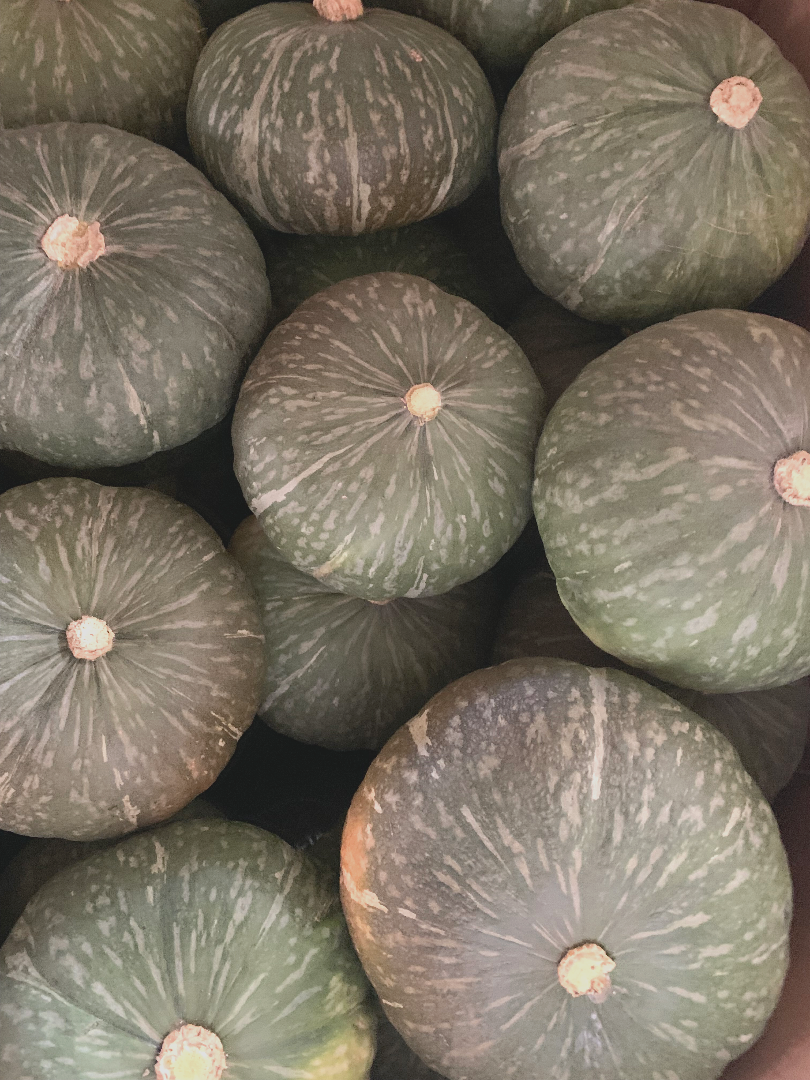 Kabocha Squash